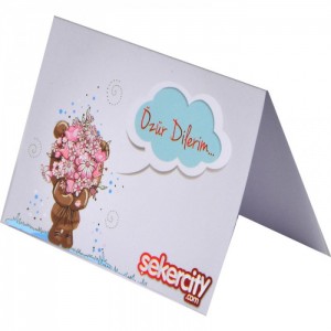 Özür Dilerim